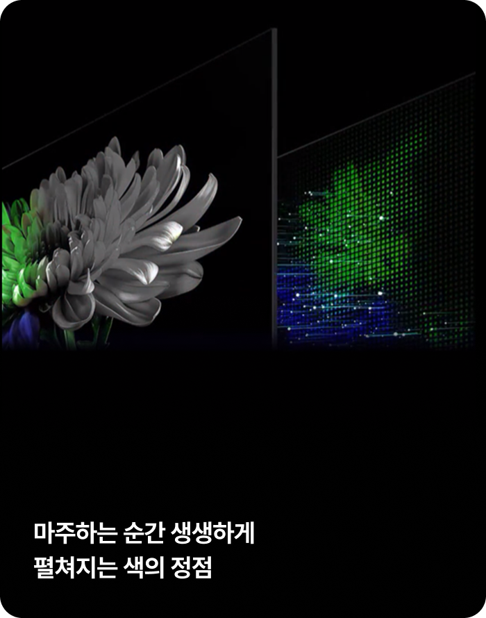 마주하는 순간 생생하게 펼쳐지는 색의 정점