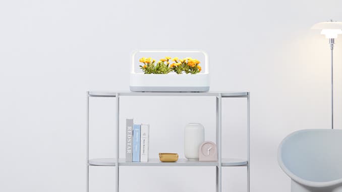 흰색 벽을 배경으로 한 실내 장면입니다. 선반 위에 작은 화분이 놓여 있으며, 노란색 꽃들이 피어 있습니다. 선반에는 책과 장식품들이 함께 배치되어 있습니다. 오른쪽에는 흰색 스탠드 조명이 켜져 있고, 회색 의자가 보입니다. 전체적으로 깔끔하고 현대적인 분위기를 연출하고 있습니다.