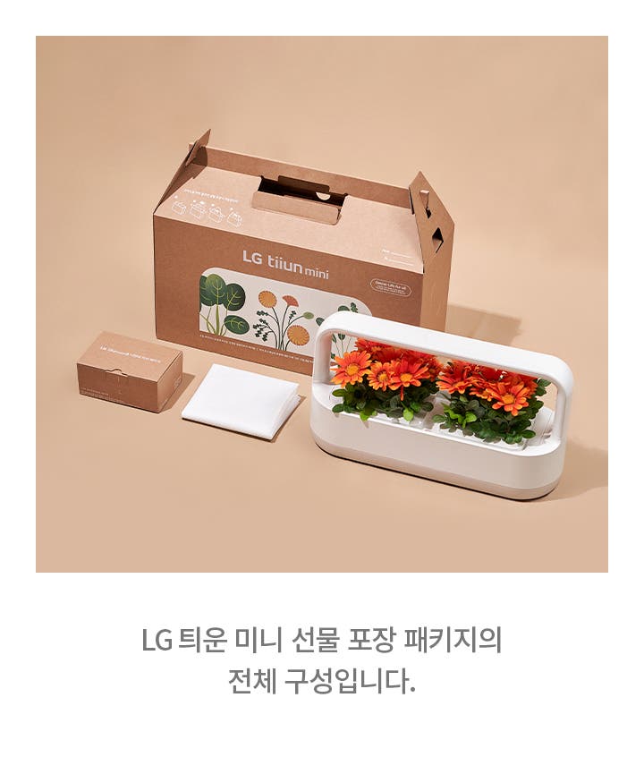 LG 틔운 미니 선물 포장 패키지의 전체 구성입니다. 갈색 상자에 LG tiiun mini라고 적혀 있으며, 상자 옆에는 흰색 천과 작은 상자가 놓여 있습니다. 흰색 프레임 안에는 주황색 꽃이 심어져 있습니다.