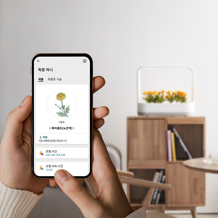 한 사람이 스마트폰을 들고 있으며, 화면에는 틔운 미니라는 앱이 열려 있습니다. 앱 화면에는 제품과 유용한 기능이라는 항목이 보이고, 1일차 메리골드(노란색)라는 식물 그림과 함께 설명이 있습니다. 용 적정 항목에는 식물 개체에 알맞은 로드입니다.라는 문구가 있으며, 조명 시간은 오전 7:00~오후 9:00, 조명 지속 시간은 14시간으로 표시되어 있습니다. 배경에는 식물이 담긴 투명한 용기가 있는 가구가 보입니다.