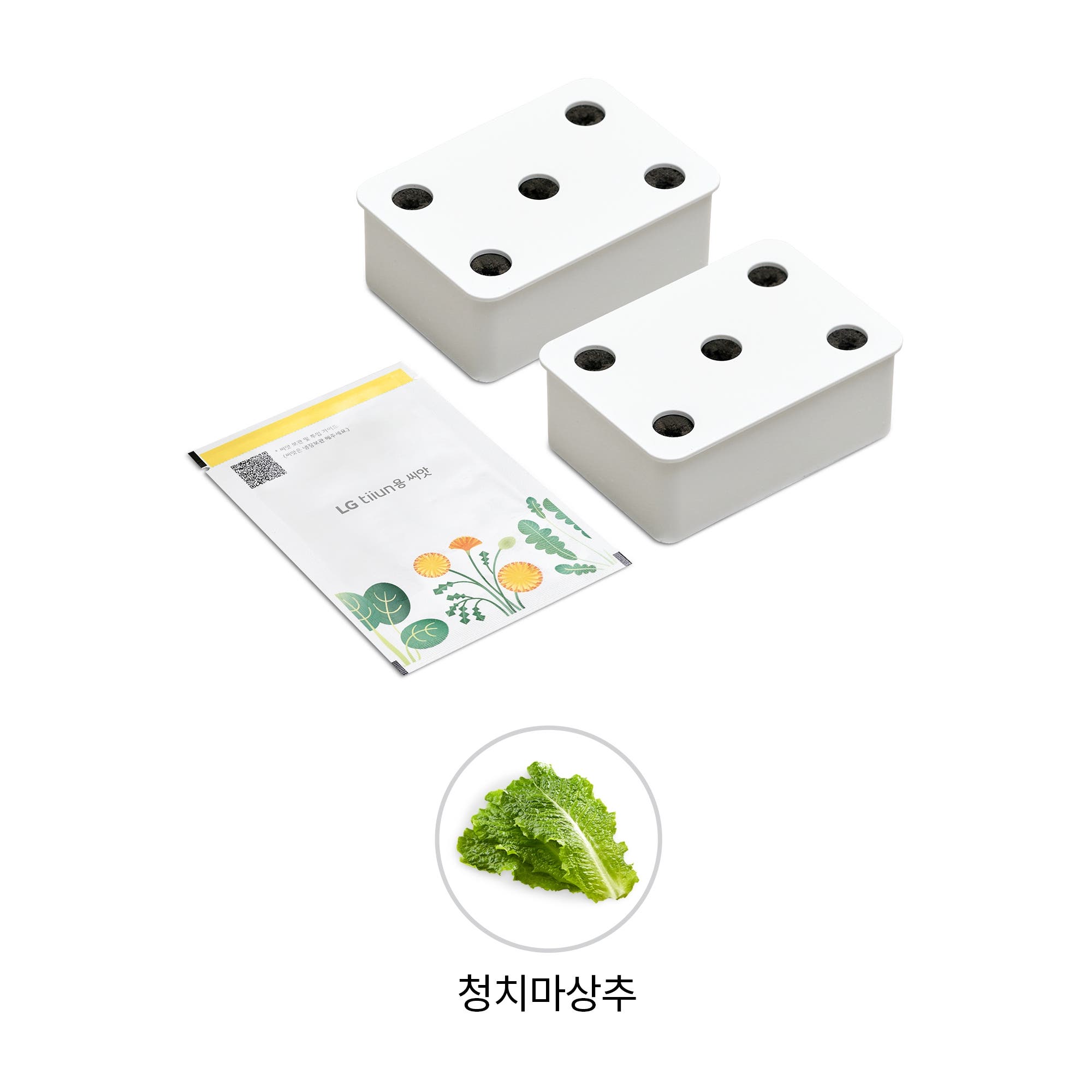 식물생활가전 LG 틔운용 청치마상추 씨앗키트 패키지 (전제품용) (LPM41.AKOR) 줌이미지 1