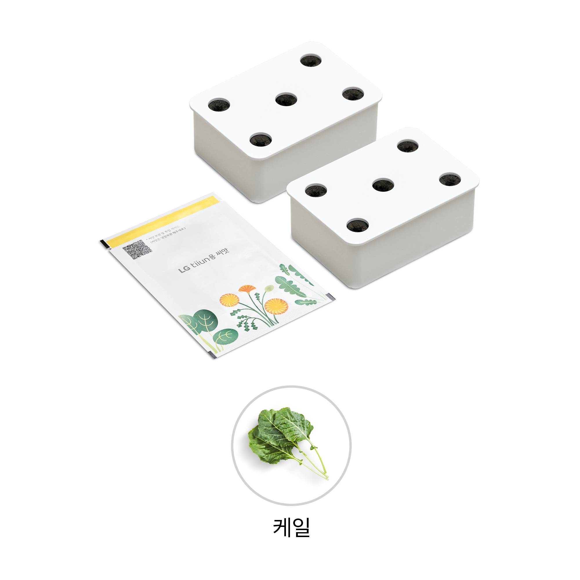 식물생활가전 LG 틔운용 케일 씨앗키트 패키지 (전제품용) (LPM44.AKOR) 줌이미지 1