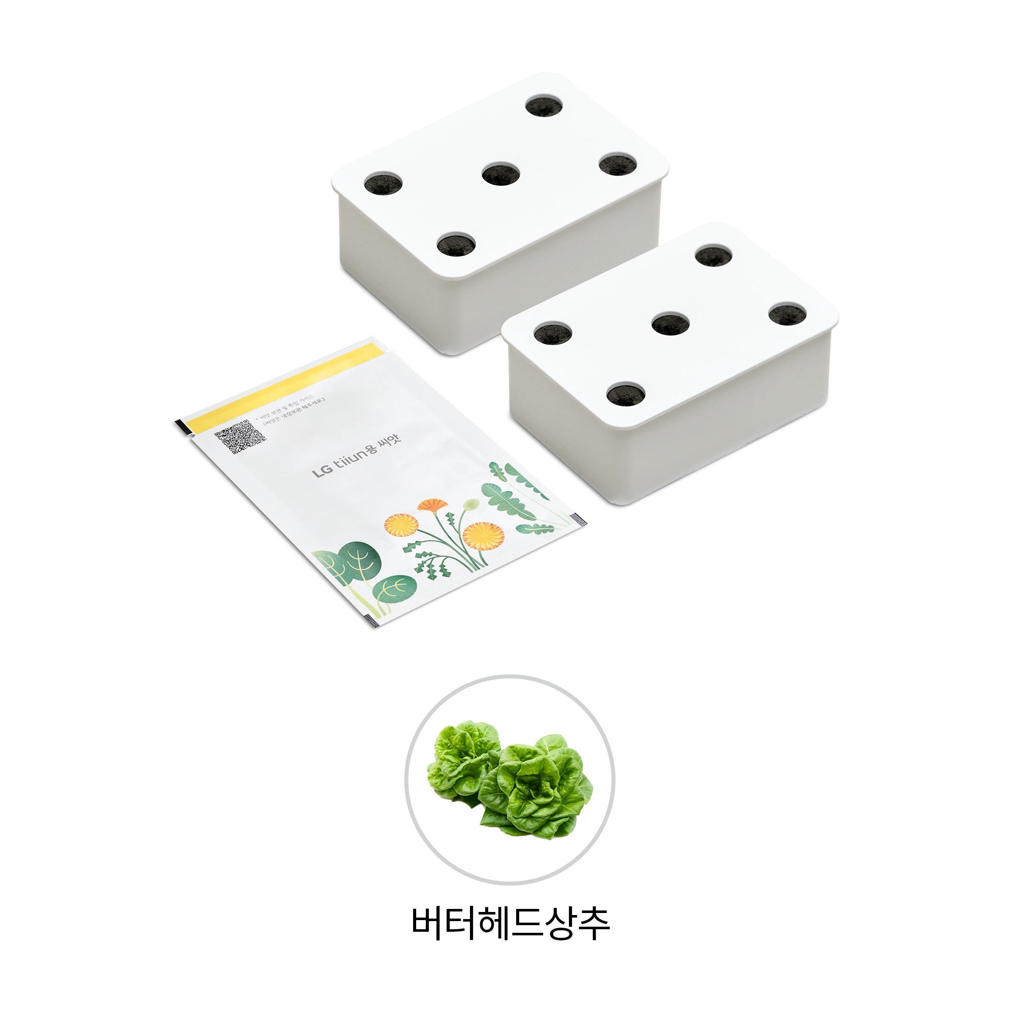 식물생활가전 LG 틔운용 버터헤드상추 씨앗키트 패키지 (미니용) (LPM47.AKOR) 줌이미지 1