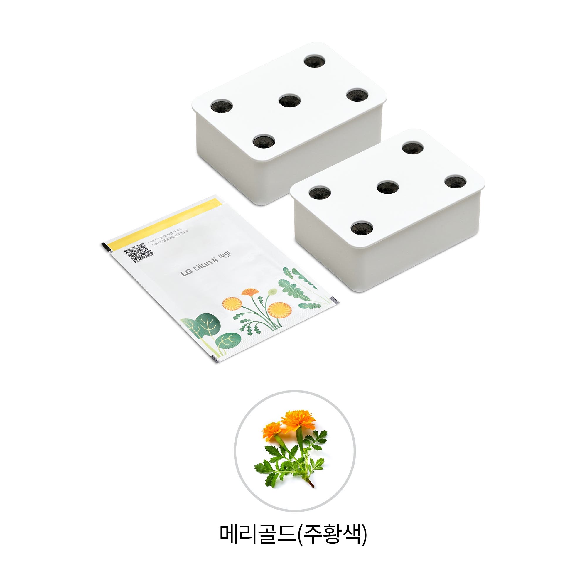 식물생활가전 LG 틔운용 메리골드 주황색 씨앗키트 패키지 (전제품용) (LPM52.AKOR) 줌이미지 1