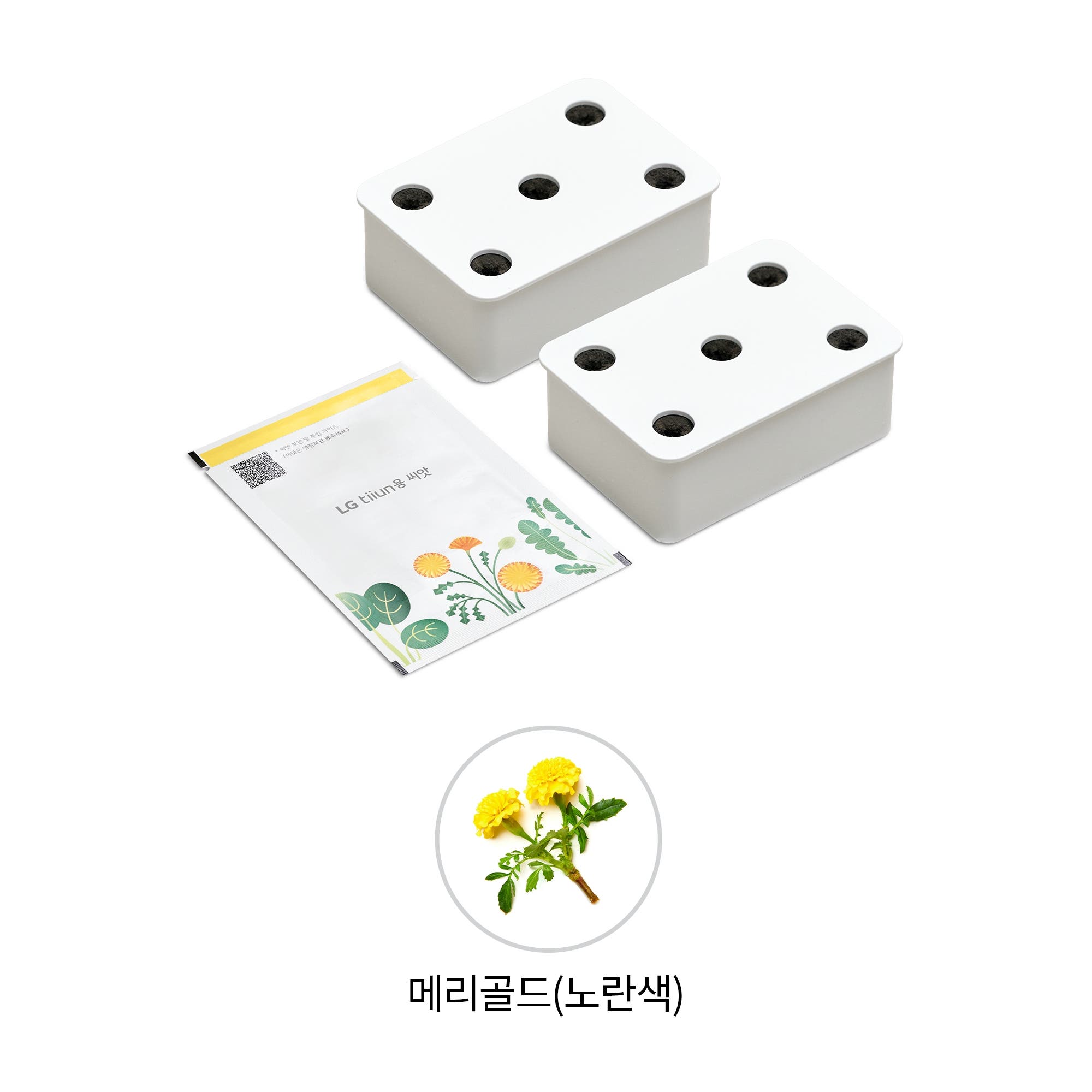 식물생활가전 LG 틔운용 메리골드 노란색 씨앗키트 패키지 (전제품용) (LPM53.AKOR) 줌이미지 1