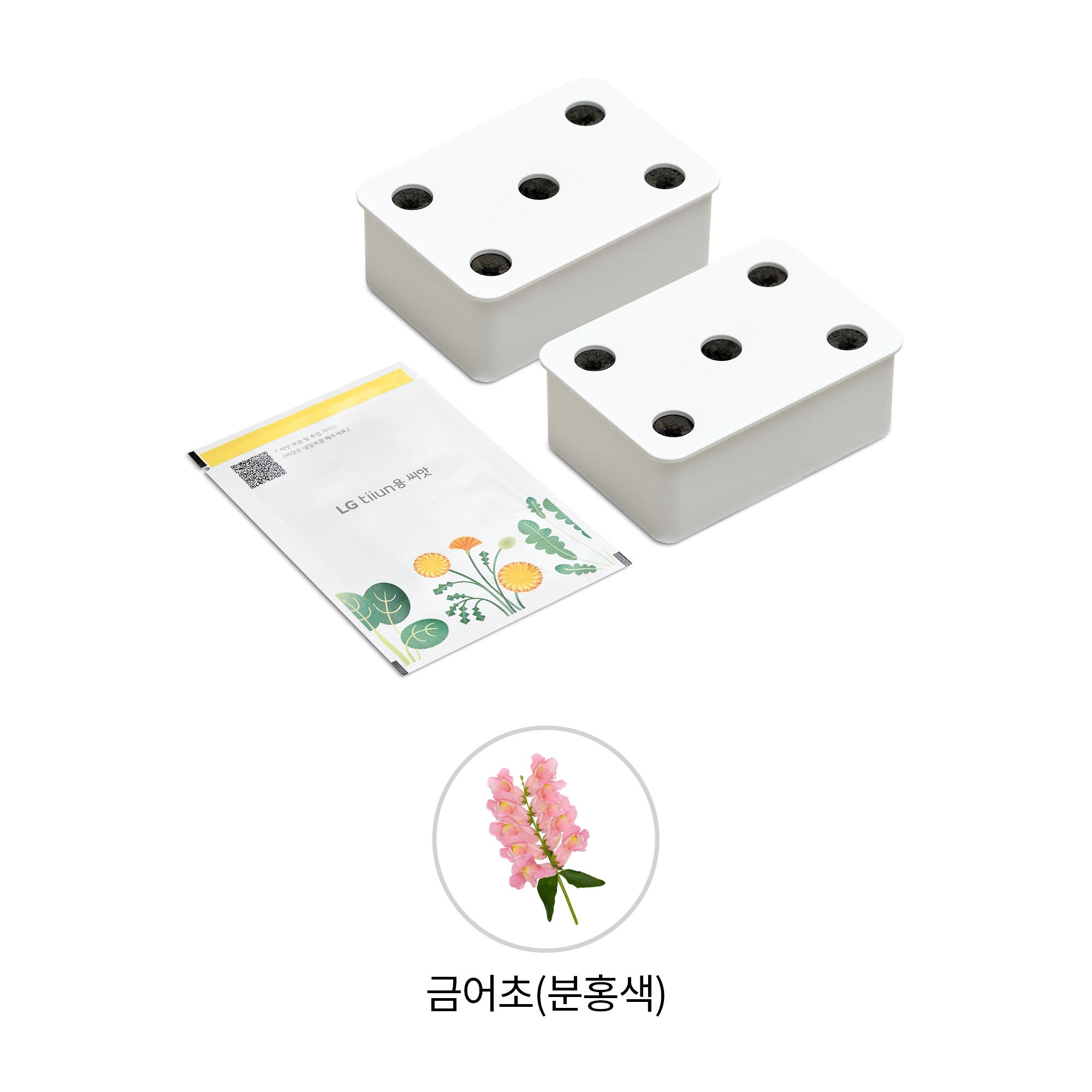 식물생활가전 LG 틔운용 금어초 분홍색 씨앗키트 패키지 (미니용) (LPM55.AKOR) 줌이미지 1