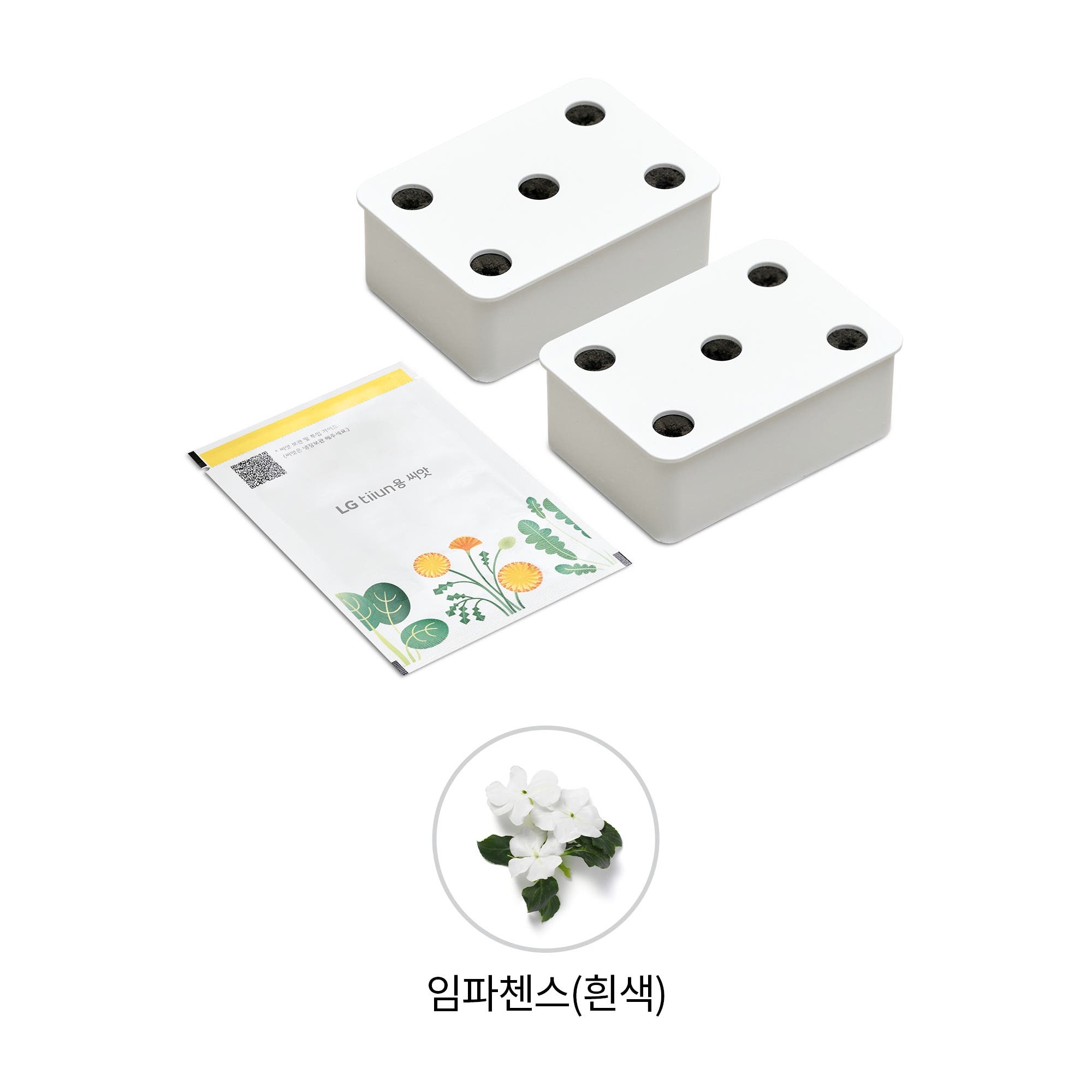식물생활가전 LG 틔운용 임파첸스 흰색 씨앗키트 패키지 (미니용) (LPM56.AKOR) 줌이미지 1