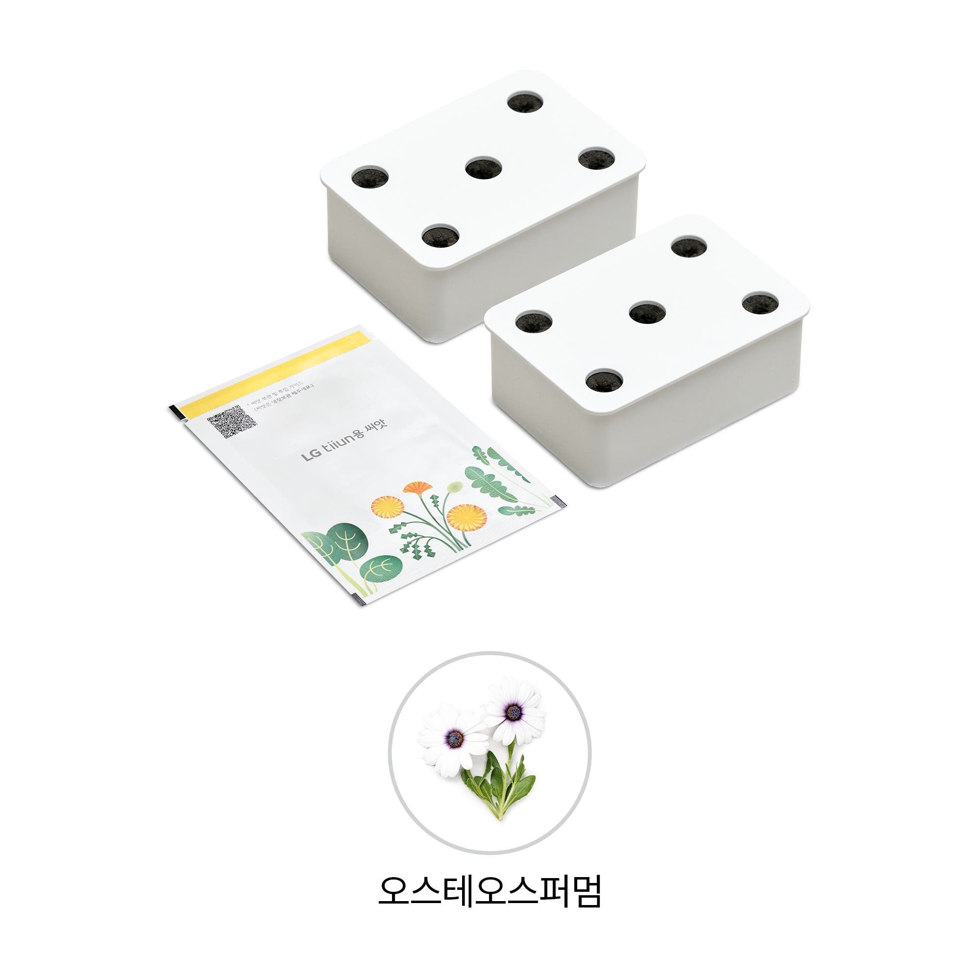 식물생활가전 LG 틔운용 오스테오스퍼멈 씨앗키트 패키지 (미니용) (LPM57.AKOR) 줌이미지 1