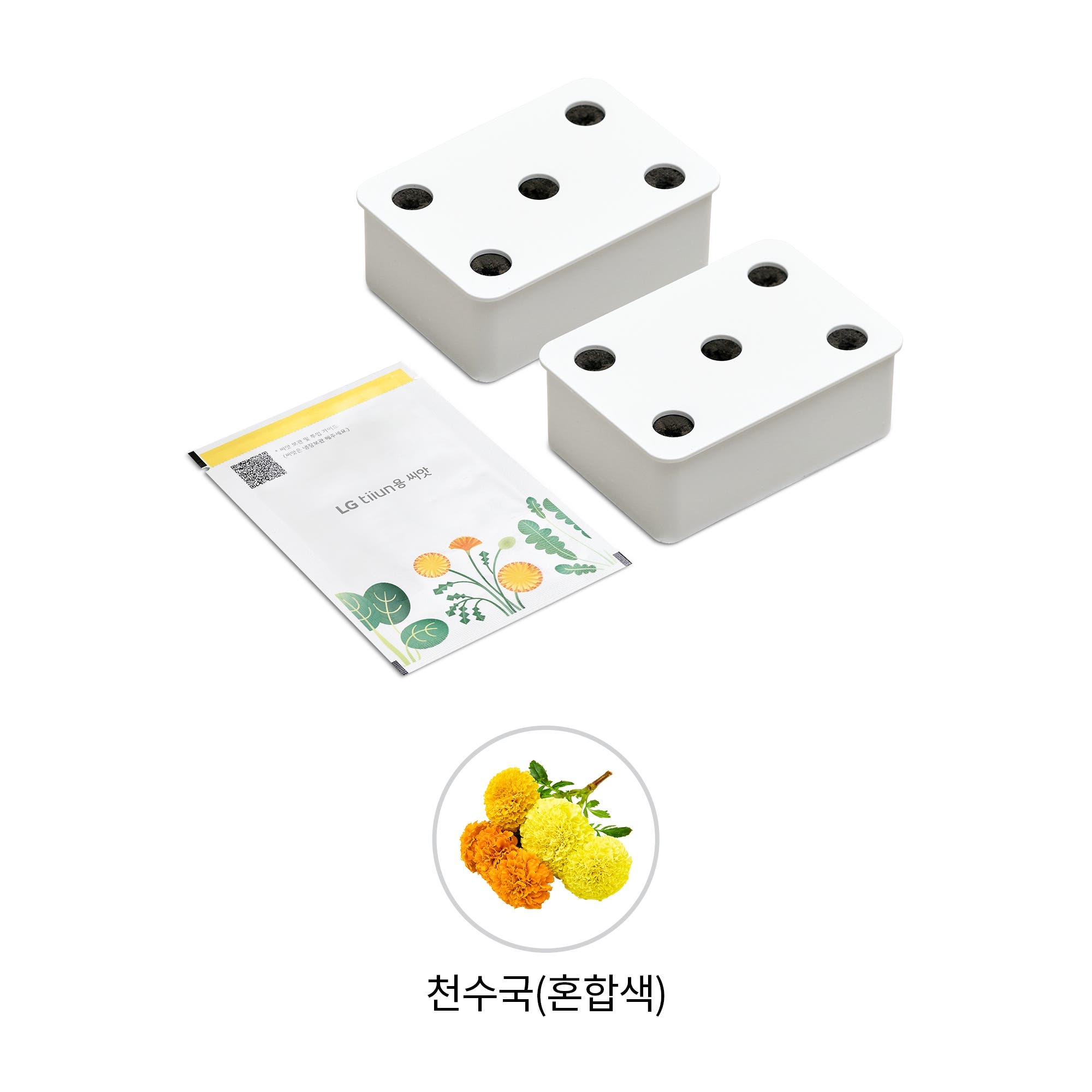 식물생활가전 LG 틔운용 천수국 혼합색 씨앗키트 패키지 (미니용) (LPM59.AKOR) 줌이미지 1