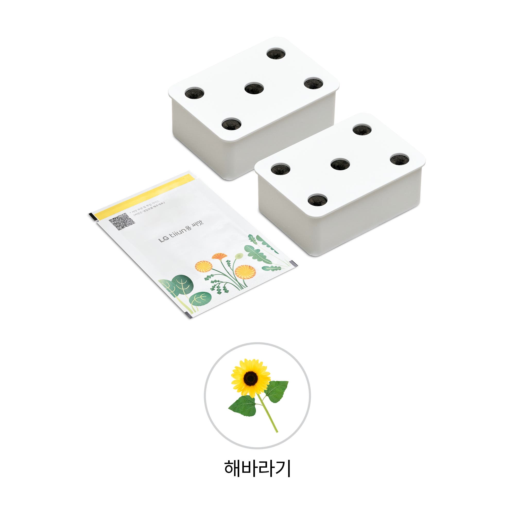 식물생활가전 LG 틔운용 해바라기 씨앗키트 패키지 (미니용) (LPM62.AKOR) 줌이미지 1