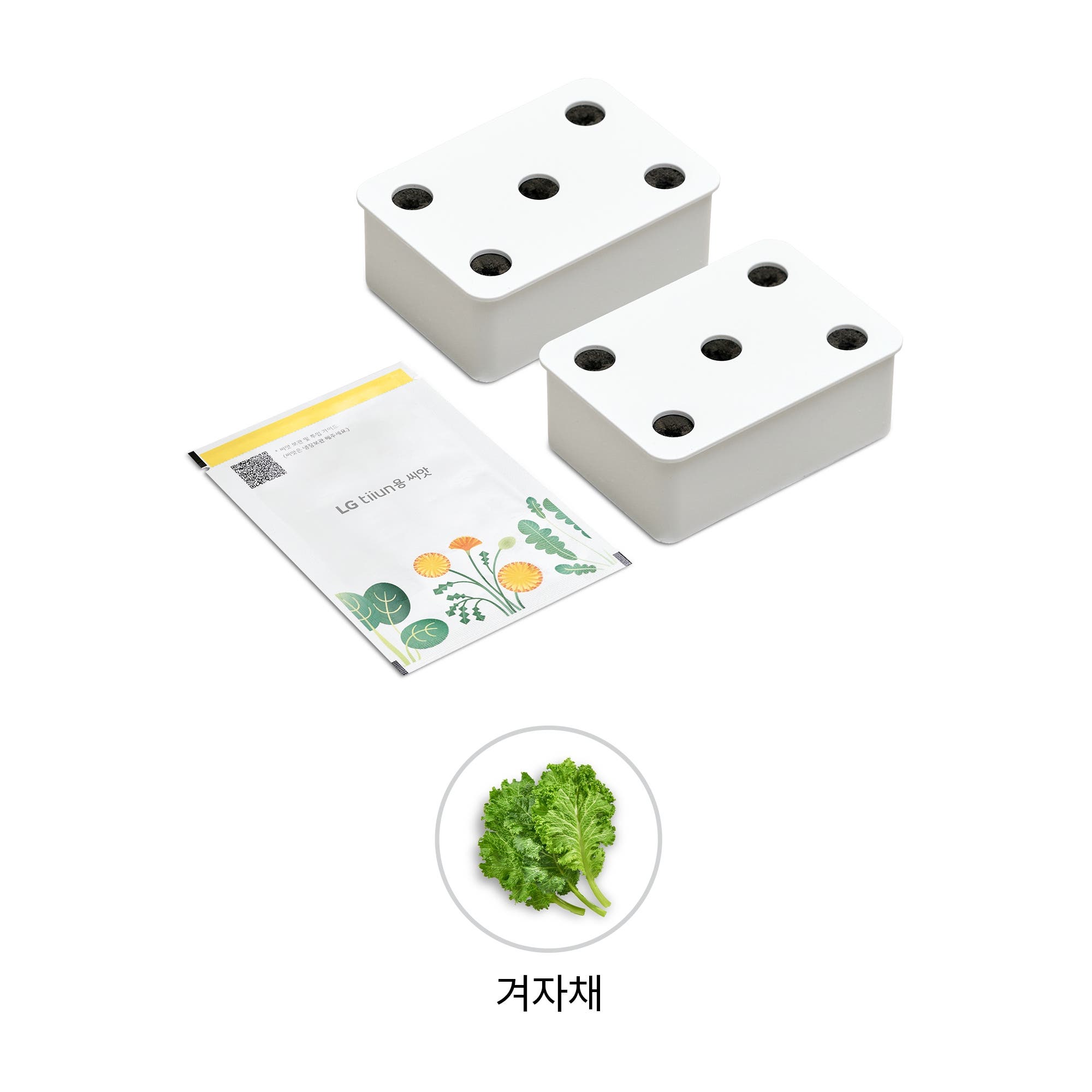 식물생활가전 LG 틔운용 겨자채 씨앗키트 패키지 (오브제컬렉션용) (LPM48.AKOR) 줌이미지 1