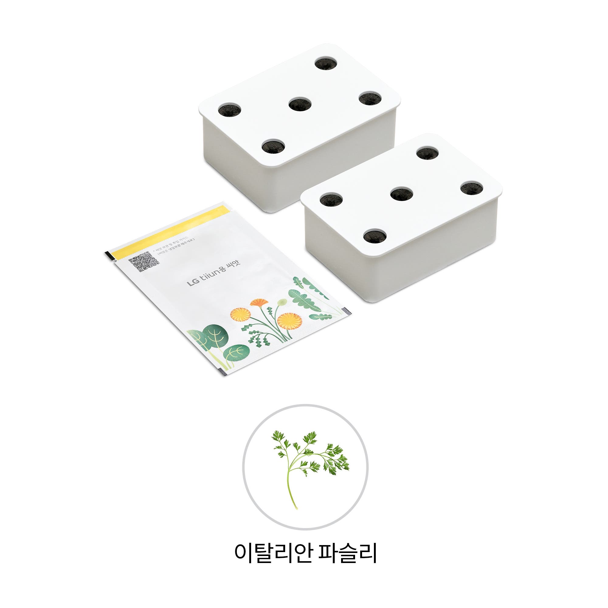 식물생활가전 LG 틔운용 이탈리안 파슬리 씨앗키트 패키지 (오브제컬렉션용) (LPM50.AKOR) 줌이미지 1