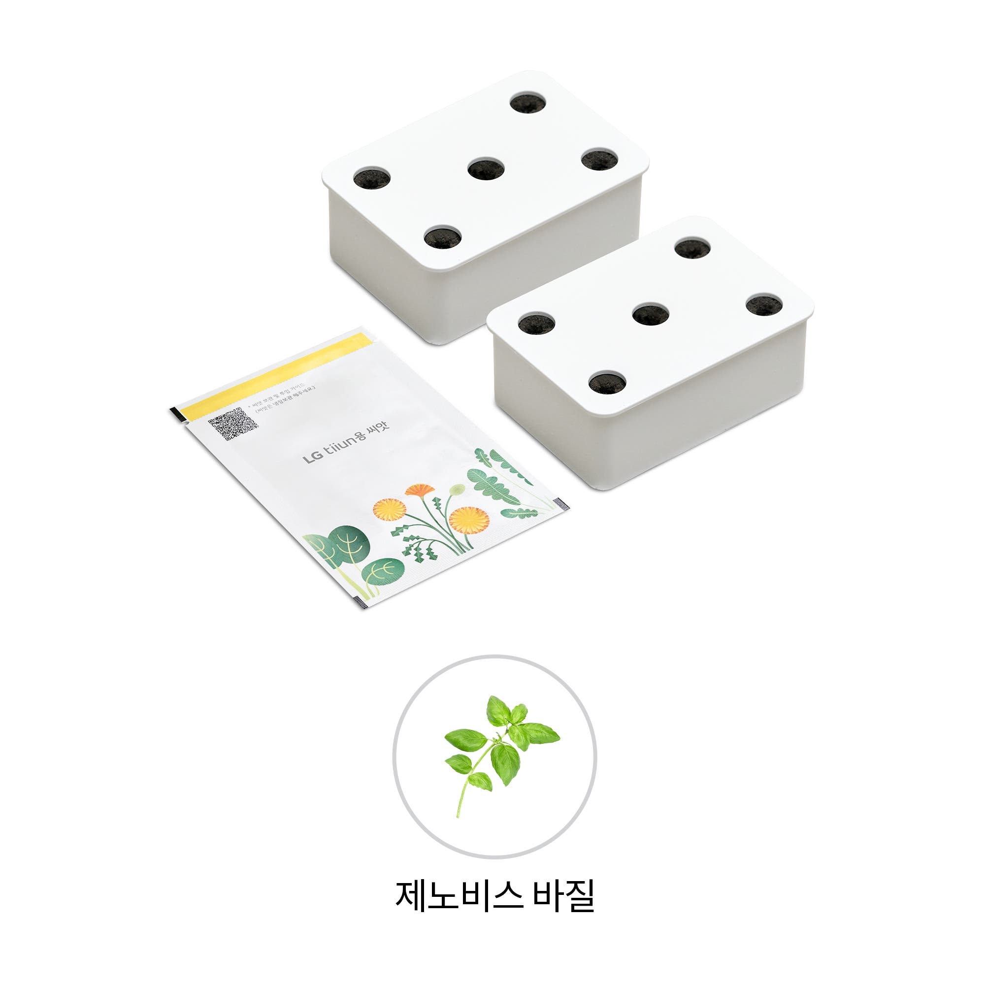 식물생활가전 LG 틔운용 제노비스 바질 씨앗키트 패키지 (오브제컬렉션용) (LPM51.AKOR) 줌이미지 1