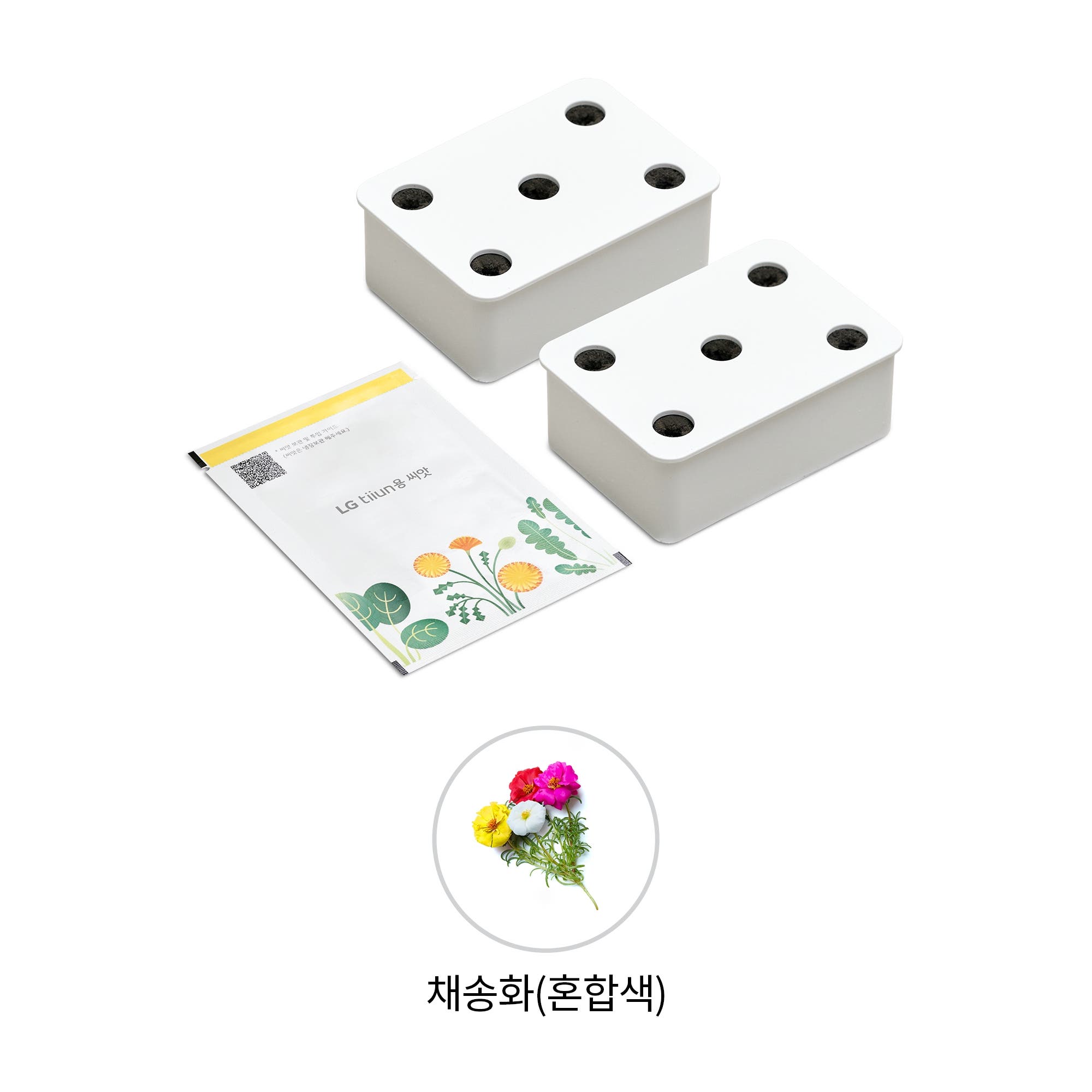 식물생활가전 LG 틔운용 채송화 혼합색 씨앗키트 패키지 (오브제컬렉션용) (LPM58.AKOR) 줌이미지 1