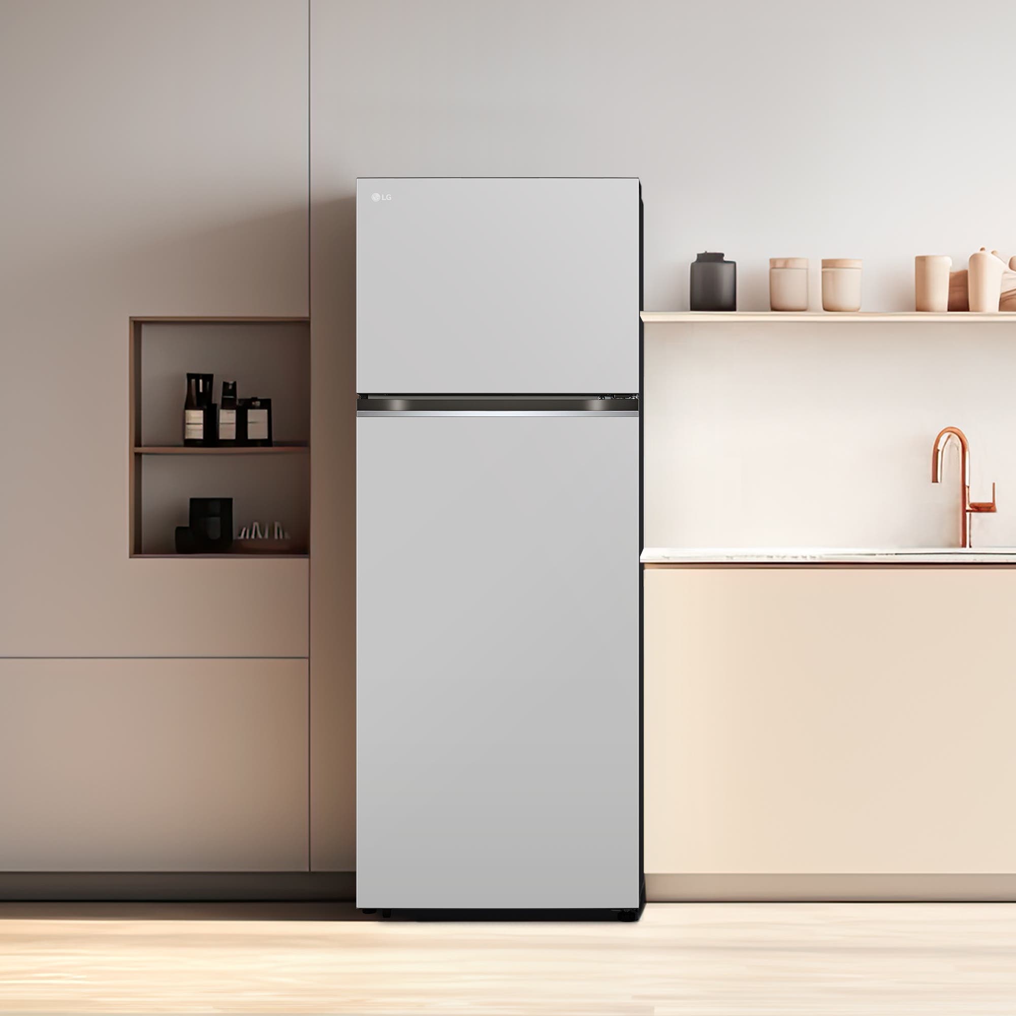냉장고 LG 일반냉장고 오브제컬렉션 (D463MRR33.AKOR) 줌이미지 1