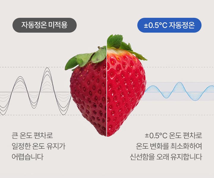 자동정온이 미적용되어 신선하지 않은 딸기와 +-0.5도 자동정온이 적용되어 신선한 딸기가 대조되어 설명되고 있습니다. 자동정온이 적용되지 않으면 큰 온도 편차로 일정한 온도 유지가 어렵고 자동정온이 적용되면 +-0.5도 편차로 온도 변화를 최소화하여 신선함을 오래 유지한다고 설명되고 있습니다.