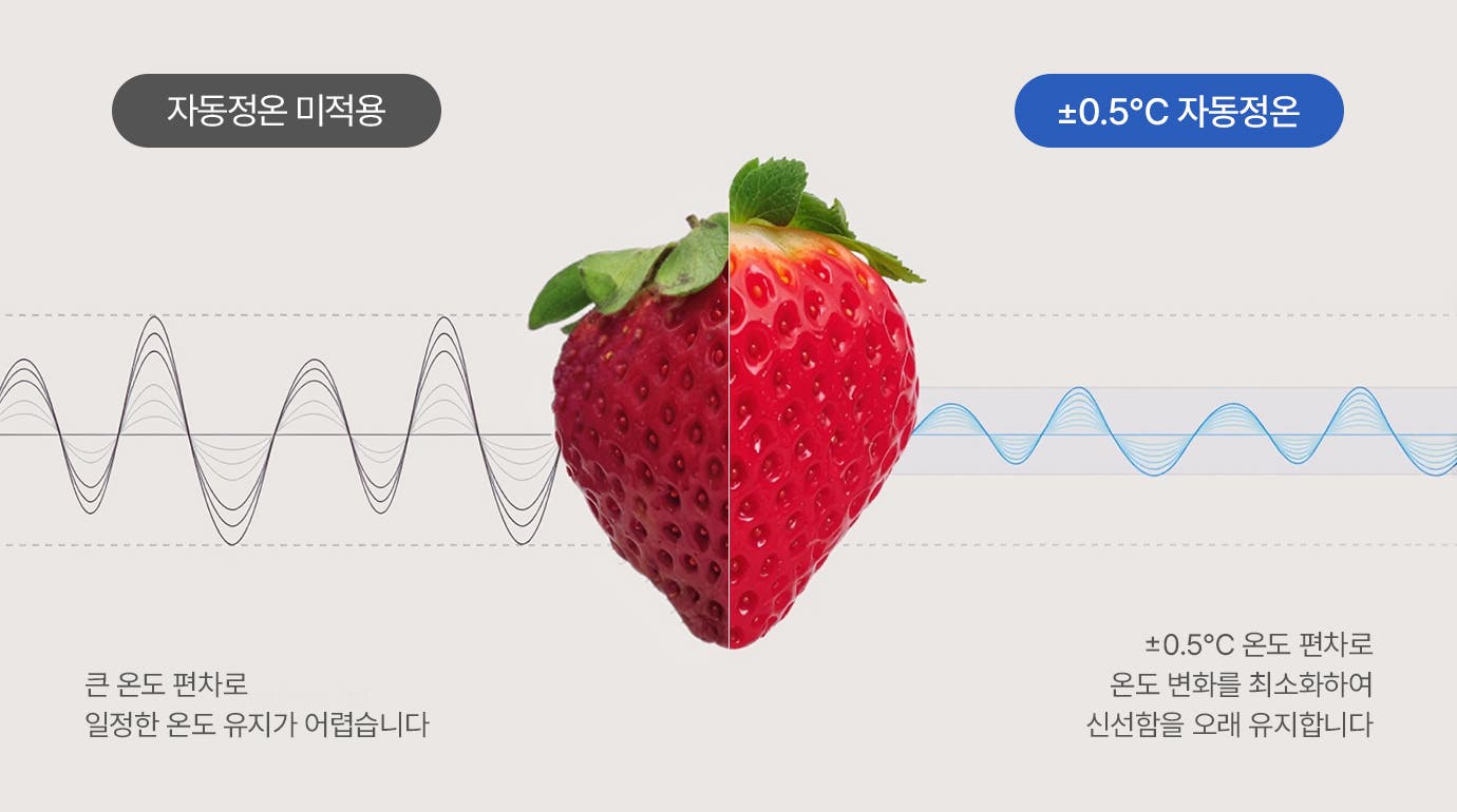 자동정온이 미적용되어 신선하지 않은 딸기와 +-0.5도 자동정온이 적용되어 신선한 딸기가 대조되어 설명되고 있습니다. 자동정온이 적용되지 않으면 큰 온도 편차로 일정한 온도 유지가 어렵고 자동정온이 적용되면 +-0.5도 편차로 온도 변화를 최소화하여 신선함을 오래 유지한다고 설명되고 있습니다.