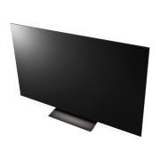 TV LG 올레드 evo (스탠드형) (OLED65C4ES.AKRG) 썸네일이미지 11