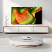 TV LG 올레드 AI (벽걸이형) (OLED48B5NW.AKRG) 썸네일이미지 1