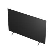 TV LG 올레드 AI (스탠드형) (OLED65B5ES.AKRG) 썸네일이미지 11