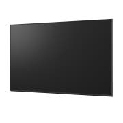 TV LG 나노셀 AI (벽걸이형) (55NANO80AEW.AKRG) 썸네일이미지 9