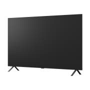 TV LG 올레드 AI (스탠드형) (OLED55B5KS.AKRG) 썸네일이미지 9