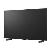 TV LG 올레드 evo AI (스탠드형) (OLED42C6KS.AKRG) 썸네일이미지 11