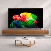 TV LG 올레드 AI (스탠드형) (OLED55B6KS.AKRG) 썸네일이미지 1