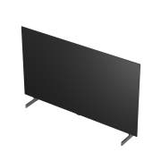 TV LG 올레드 AI (스탠드형) (OLED55B6KS.AKRG) 썸네일이미지 13