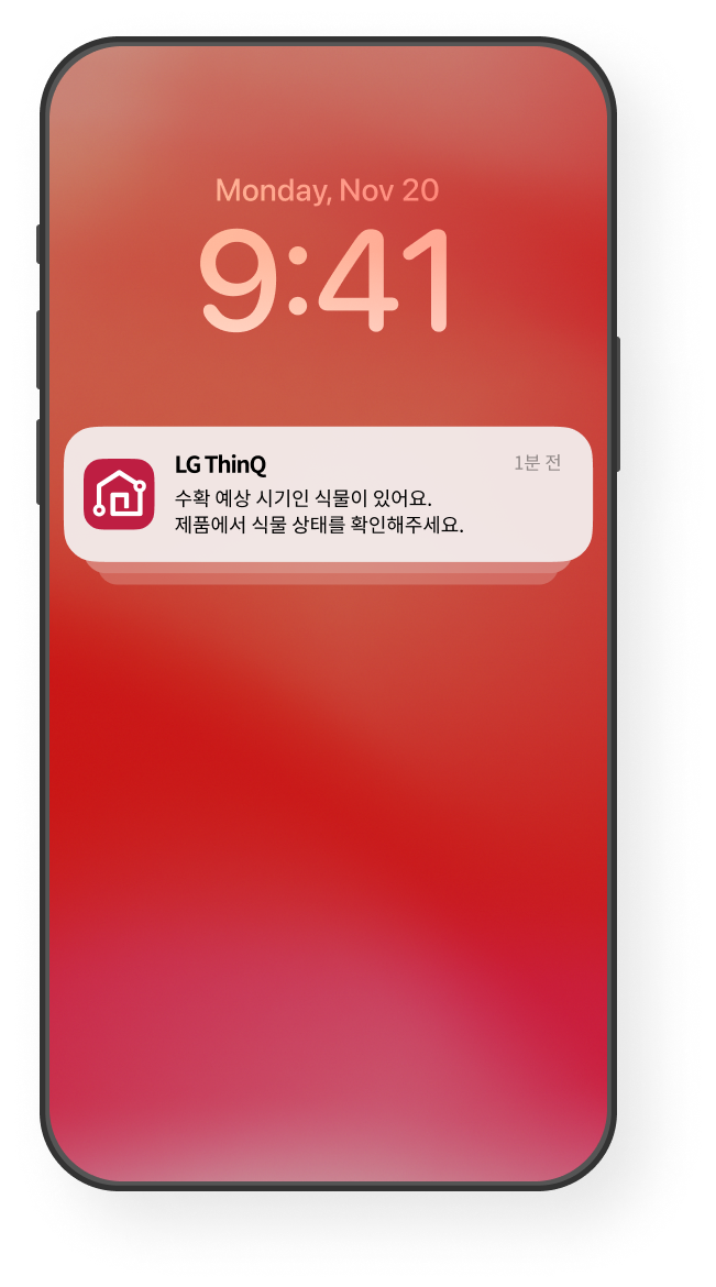알림 화면 예시