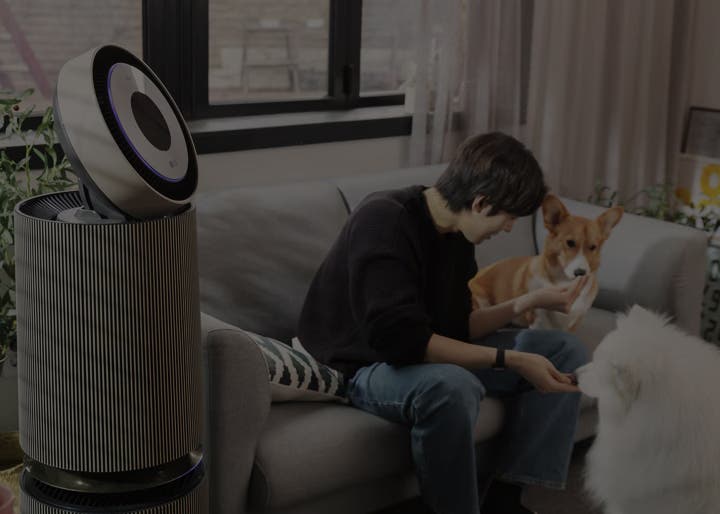 원형 디스플레이가 있는 공기청정기가 보입니다. 옆에는 소파가 있고 소파에는 사람과 강아지 한 마리가 있습니다. 소파 아래에도 강아지 한 마리가 있으며 강아지들은 각각 다른 방향을 바라보고 있습니다.