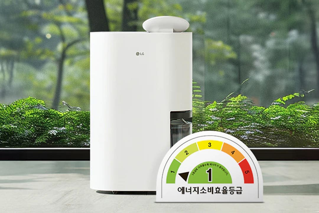 현대적인 거실 배경에 흰색 LG 제습기가 놓여 있습니다.
