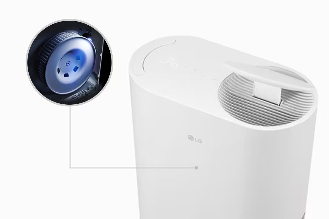 흰색 타원형 LG 제습기의 일부가 보이며, 팬 부분의 단면을 확대한 원형 이미지가 함께 표시되어 핵심 부품인 팬 살균 기술을 강조합니다.