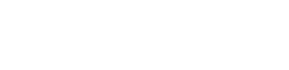 Smart