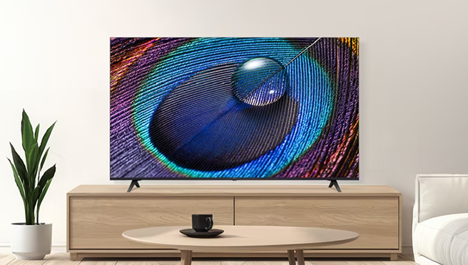 거실 목제 선반 위에 놓인 LG TV. 화면에는 물방울이 맺힌 화려한 색상의 공작 깃털 이미지가 선명하게 출력되고 있음