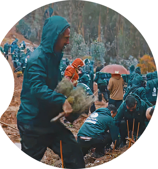 산림 복원 활동 ‘Smart Green Trees’ 소개 화면으로, 숲에서 참가자들이 나무를 심는 모습.